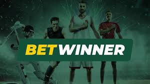 Comprehensive BetWinner Review for Saudi Arabia Players
